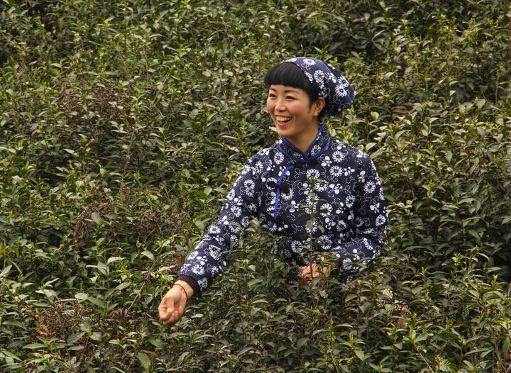 禁忌热线